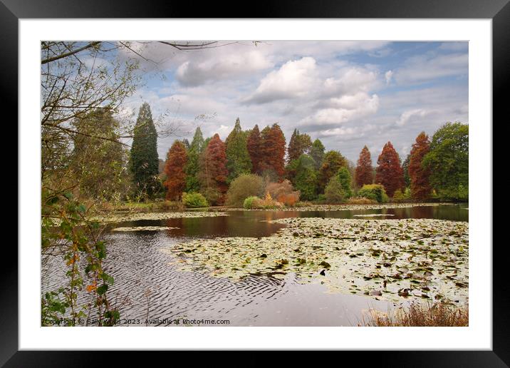 Lake with Lilypads Framed Mounted Print by Sally Wallis