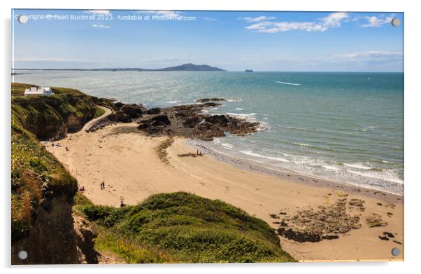 Overlooking Church Bay Anglesey Coast Acrylic by Pearl Bucknall