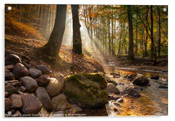 Autumn Forest Acrylic by Slawek Staszczuk