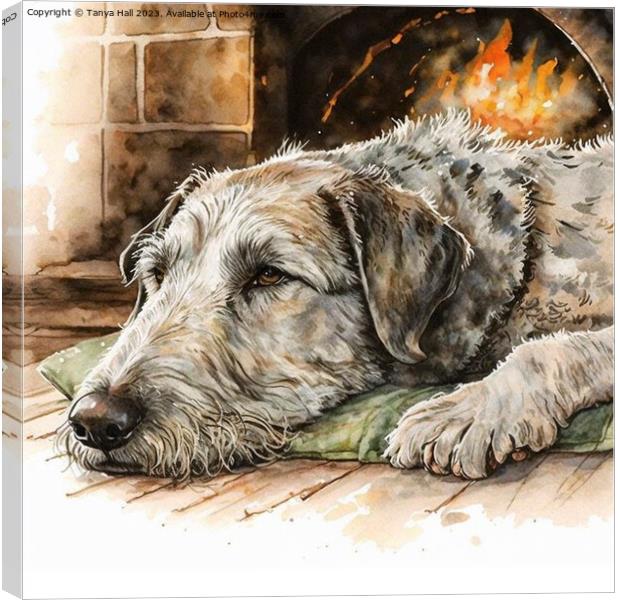Irish Wolfhound Warming by the Hearth Canvas Print by Tanya Hall