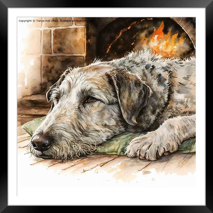Irish Wolfhound Warming by the Hearth Framed Mounted Print by Tanya Hall
