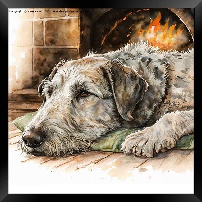 Irish Wolfhound Warming by the Hearth Framed Print by Tanya Hall