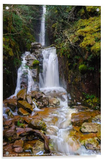 Scale Force Waterfall, Lake District Acrylic by Nigel Wilkins