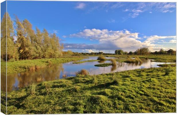 Tewkesbury Nature Reserve Canvas Print by Susan Snow