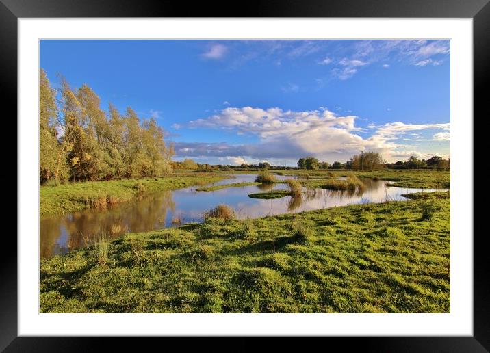 Tewkesbury Nature Reserve Framed Mounted Print by Susan Snow
