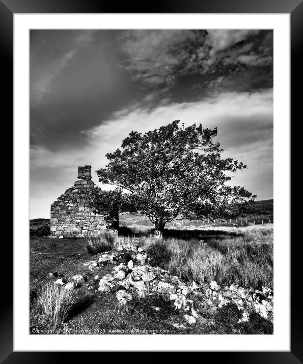 Abandoned House Gable And Tree Highland Scotland Framed Mounted Print by OBT imaging