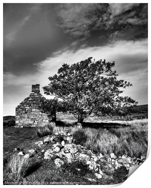 Abandoned House Gable And Tree Highland Scotland Print by OBT imaging