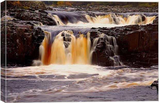 low force Canvas Print by Northeast Images