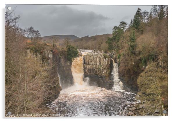 High Force Waterfall Acrylic by Richard Laidler