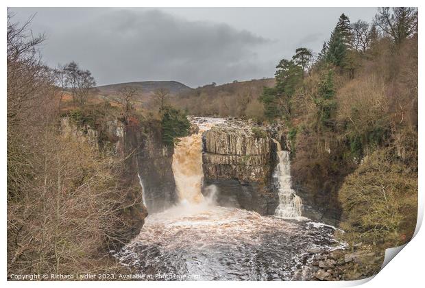 High Force Waterfall Print by Richard Laidler