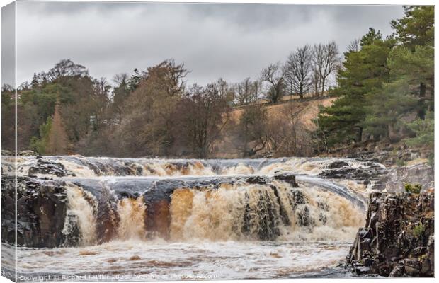 Low Force Waterfall in Spate Canvas Print by Richard Laidler