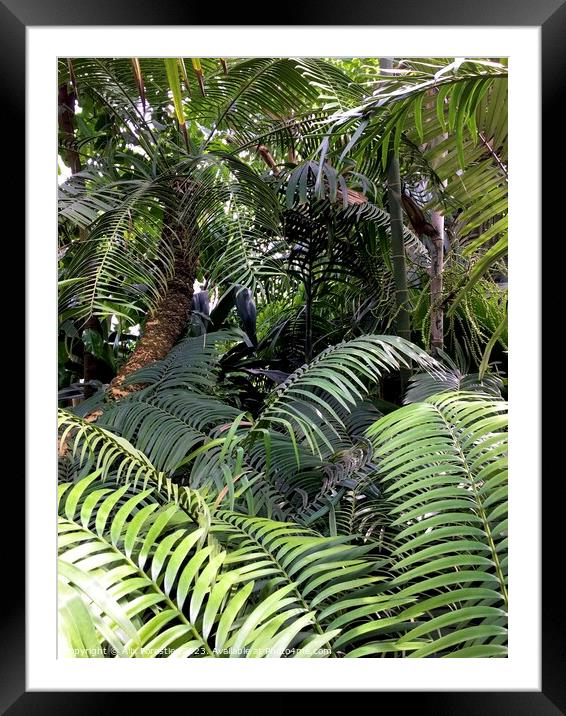 Like a Jungle Framed Mounted Print by Alix Forestier