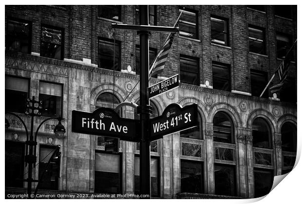 Fifth Avenue, NYC Print by Cameron Gormley