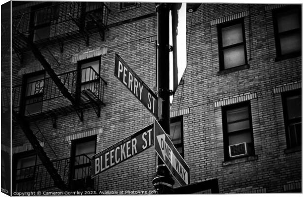 Bleeker and Perry, NYC Canvas Print by Cameron Gormley