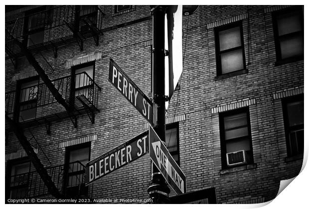 Bleeker and Perry, NYC Print by Cameron Gormley