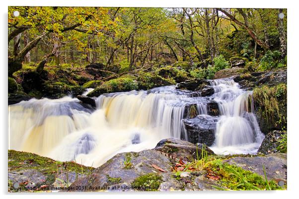 Loch Artlet Falls Acrylic by Fiona Messenger