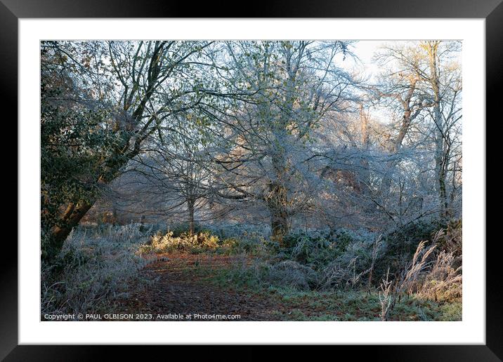 Frosty woodland Framed Mounted Print by PAUL OLBISON