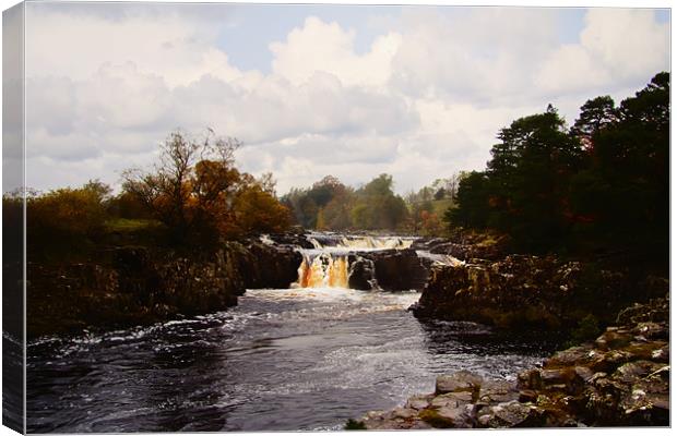 low force Canvas Print by Northeast Images