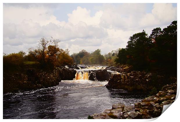 low force Print by Northeast Images