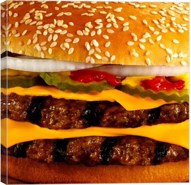 double cheeseburger 2 Canvas Print by OTIS PORRITT