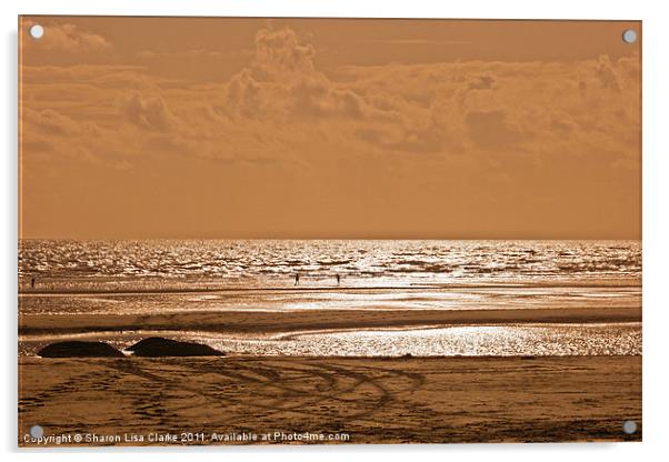 Golden sands Acrylic by Sharon Lisa Clarke