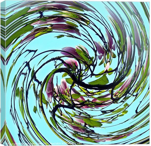 Magnolia Swirl Canvas Print by Sharon Lisa Clarke
