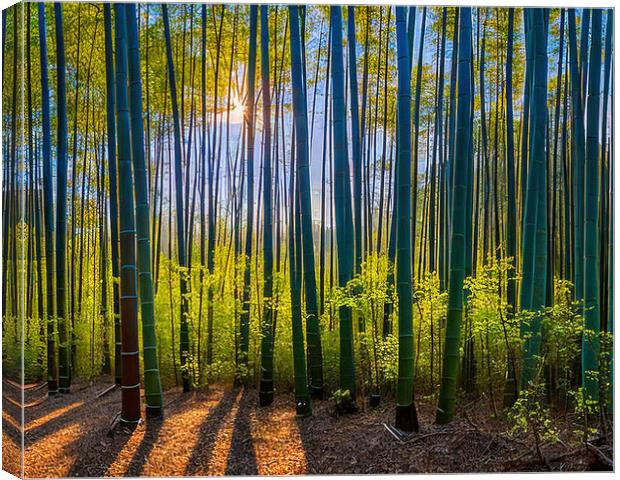 Sunlit Path in Dense Bamboo Forest Canvas Print by Roger Mechan