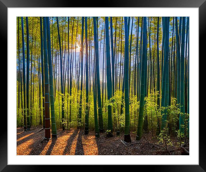 Sunlit Path in Dense Bamboo Forest Framed Mounted Print by Roger Mechan