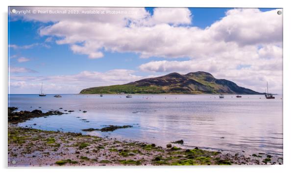 Holy Isle Arran Island Scotland Panorama Acrylic by Pearl Bucknall