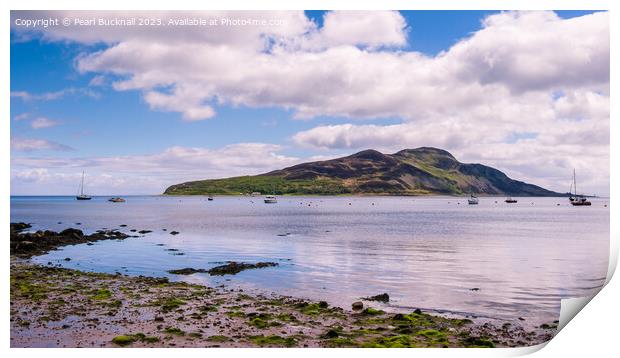 Holy Isle Arran Island Scotland Panorama Print by Pearl Bucknall