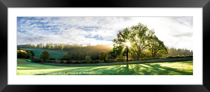 Backlit autumn trees Framed Mounted Print by Adrian Brockwell