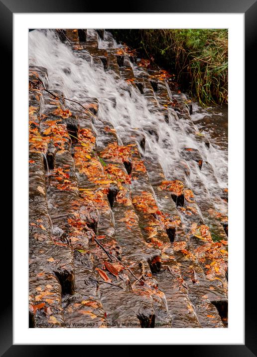 Dead Autumn leaves on Cascade Framed Mounted Print by Sally Wallis