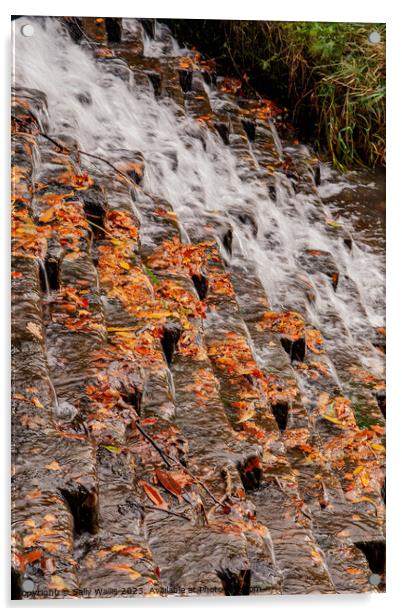 Dead Autumn leaves on Cascade Acrylic by Sally Wallis