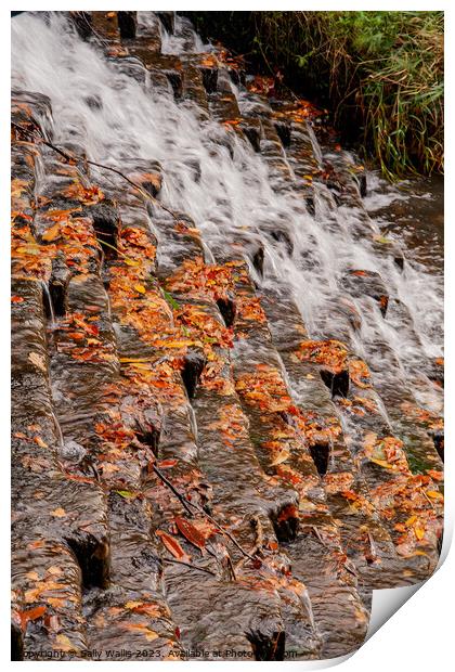 Dead Autumn leaves on Cascade Print by Sally Wallis