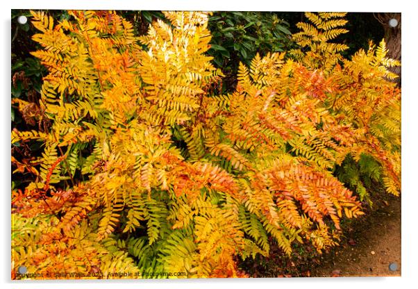 Bracken colours of Autumn Acrylic by Sally Wallis