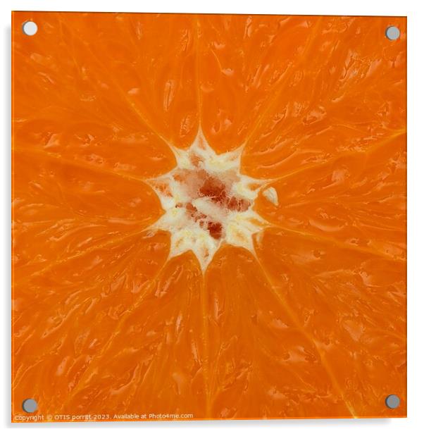 ORANGE 2 Acrylic by OTIS PORRITT