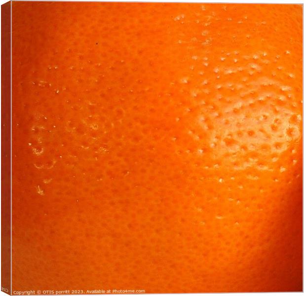 ORANGE 3 Canvas Print by OTIS PORRITT