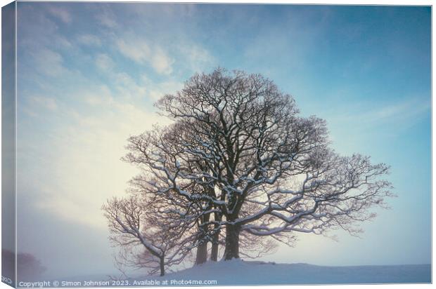 Winter tree Canvas Print by Simon Johnson