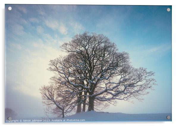 Winter tree Acrylic by Simon Johnson