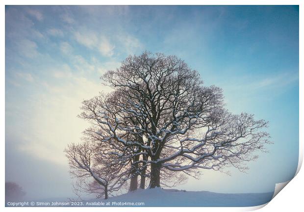 Winter tree Print by Simon Johnson
