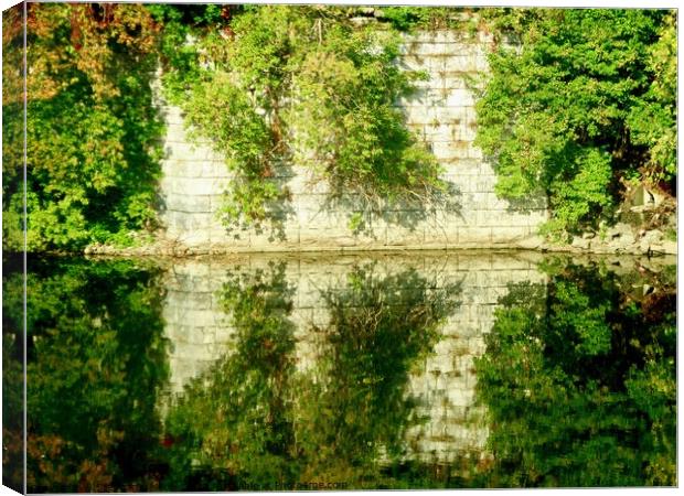 Perfect Reflections Canvas Print by Stephanie Moore