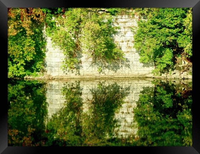 Perfect Reflections Framed Print by Stephanie Moore