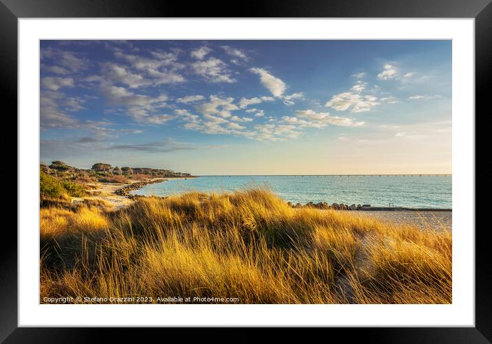 Grass on the dunes, Vada white sand beach . Rosignano, Tuscany,  Framed Mounted Print by Stefano Orazzini
