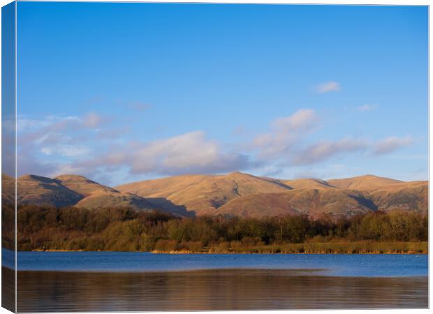 The Ochil Hills from Gartmorn. Canvas Print by Tommy Dickson