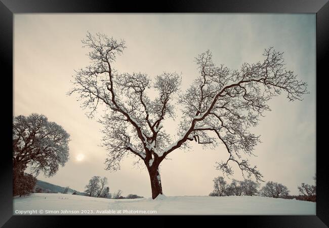 Winter tree Framed Print by Simon Johnson
