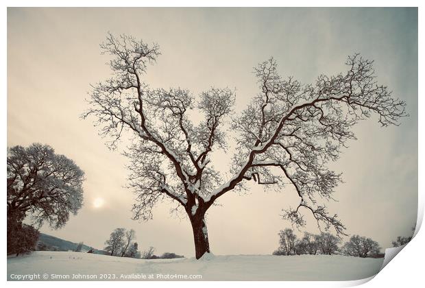 Winter tree Print by Simon Johnson