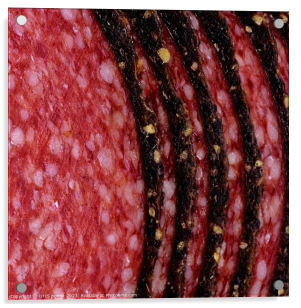 SALAME 2 Acrylic by OTIS PORRITT