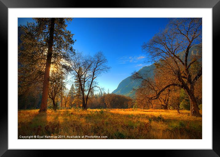 Yosemite National Park Framed Mounted Print by Eyal Nahmias