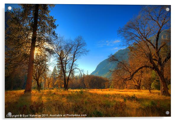 Yosemite National Park Acrylic by Eyal Nahmias