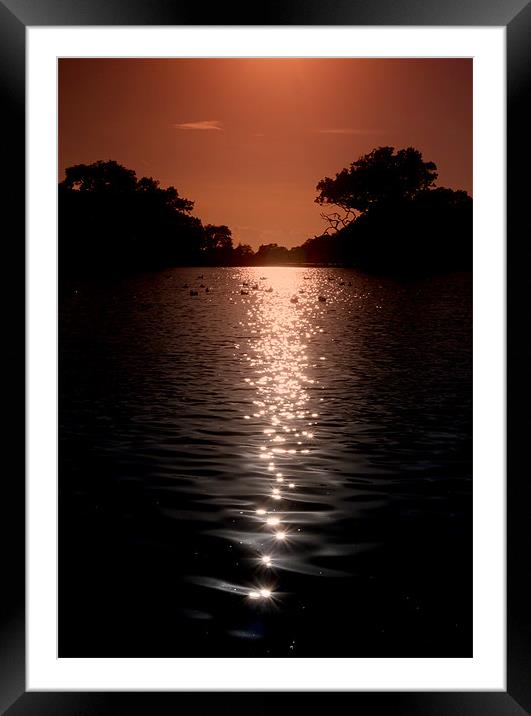 Shimmering Water Framed Mounted Print by Louise Godwin